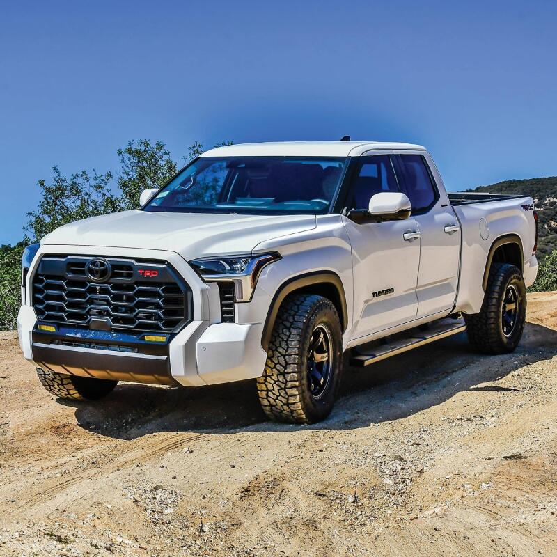 Westin WES Nerf Bars - R5