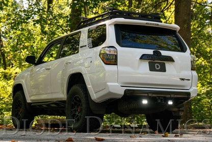 Diode Dynamics DIO Backup Light