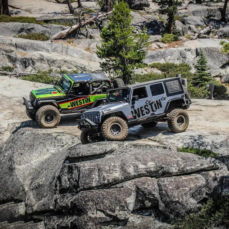 Westin WES Snyper Rock Rail Steps by Westin
