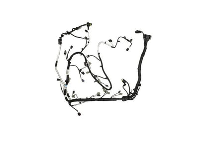 Ford Racing FR Harnesses by Ford Racing