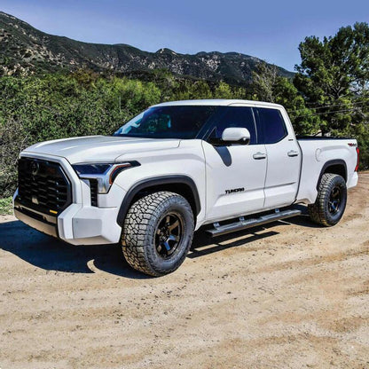 Westin WES Nerf Bars - R5