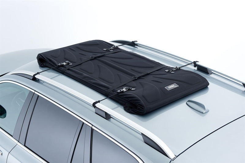 3D MAXpider ACE Roof Bags