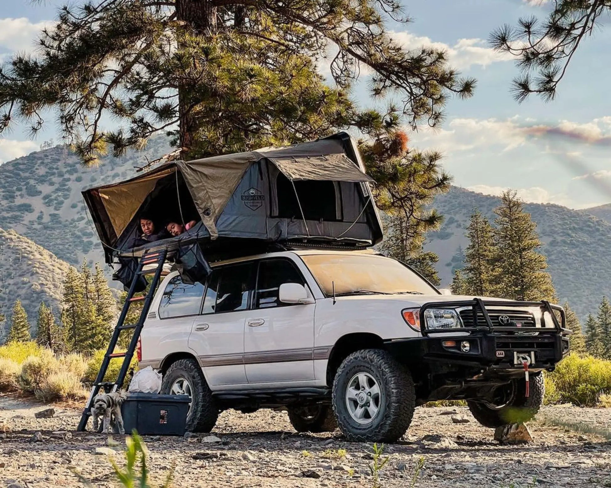 OVS HD Bushveld 4 - Cantilever Hard Shell Roof Top Tent4 Person, Grey Body & Green Rainfly by OVS