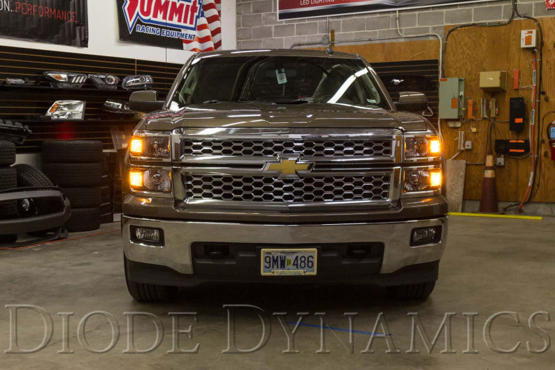 Diode Dynamics DIO Replacement Bulbs