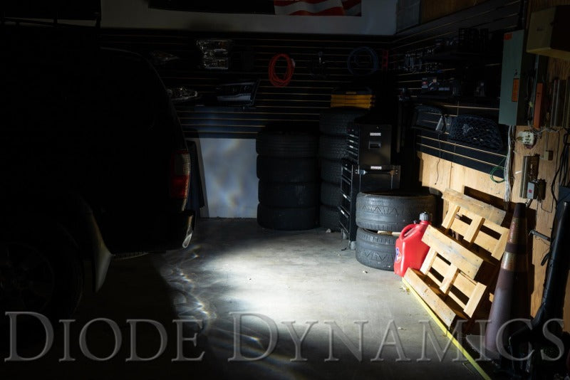 Diode Dynamics DIO Backup Light by Diode Dynamics