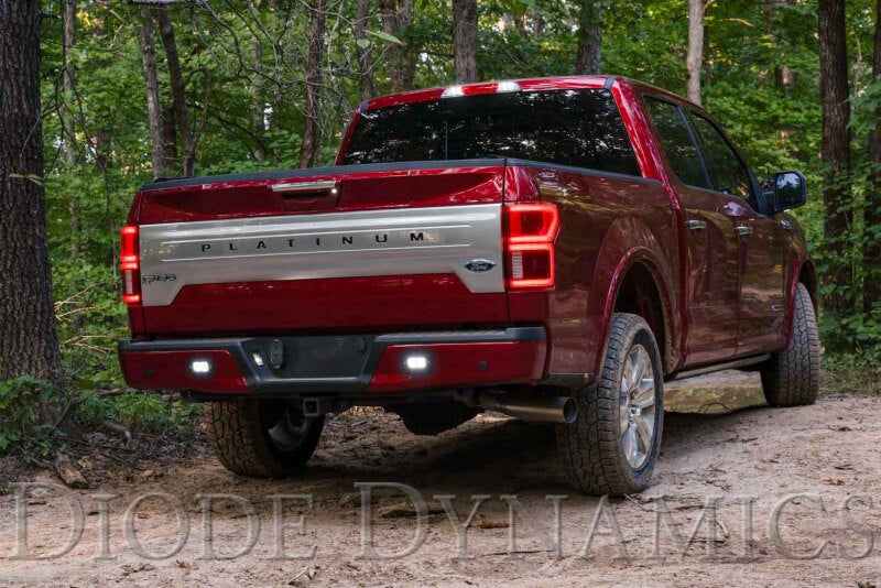 Diode Dynamics DIO Backup Light by Diode Dynamics