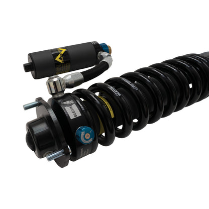 Bilstein BIL B8 Series Shocks