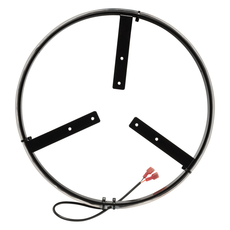 ORACLE Lighting ORL LED Wheel Rings