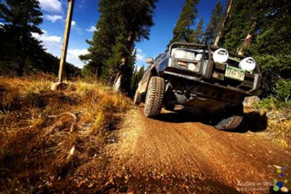 ARB Bull Bars