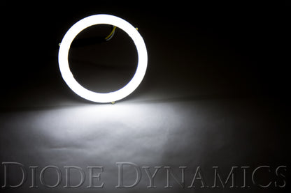 Diode Dynamics DIO Halo Ring Bulb