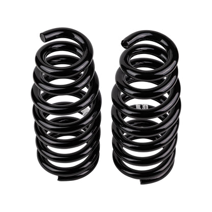 Old Man Emu Coil Spring Set