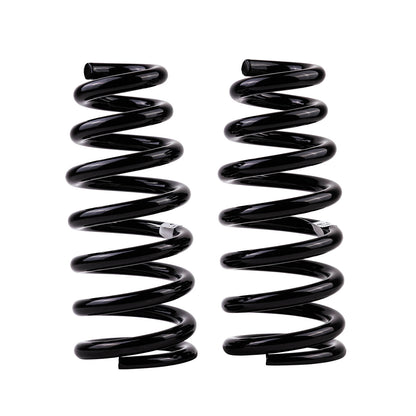 Old Man Emu Coil Spring Set