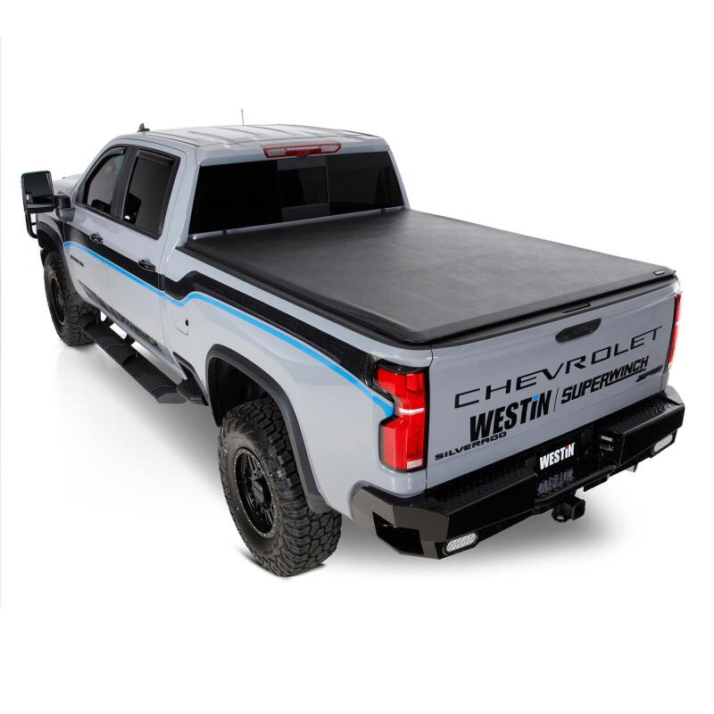 Westin WES Running Boards - AT6