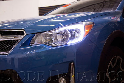 Diode Dynamics DIO Halo Ring Bulb