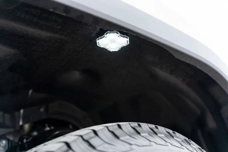 Diode Dynamics DIO Rock Lights by Diode Dynamics