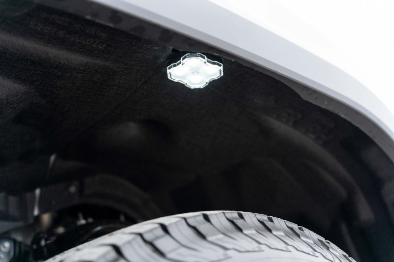 Diode Dynamics DIO Rock Lights