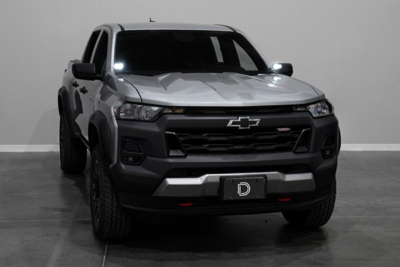 Diode Dynamics DIO Stage Series Ditch Lights
