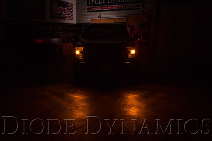 Diode Dynamics DIO Replacement Bulbs