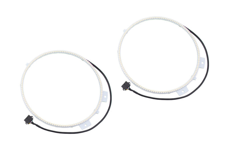 Diode Dynamics DIO Halo Ring Bulb