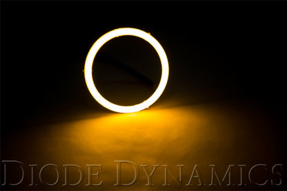 Diode Dynamics DIO Halo Ring Bulb