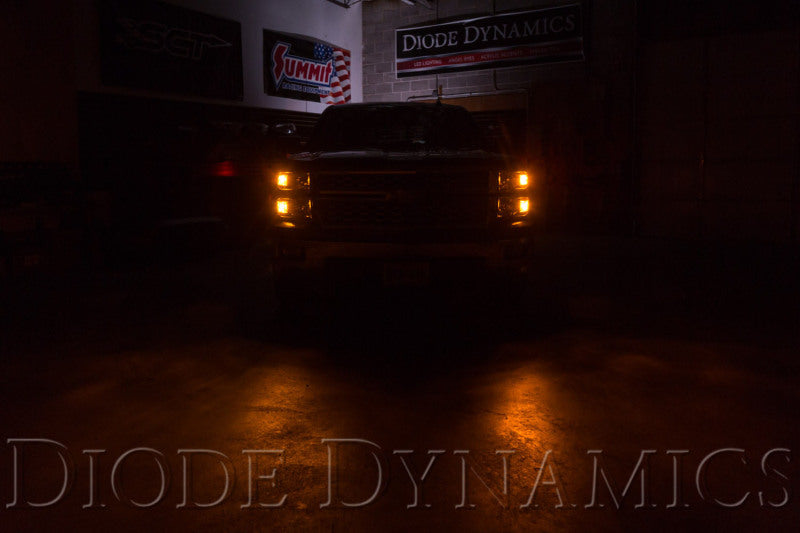 Diode Dynamics DIO Replacement Bulbs