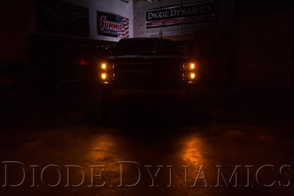 Diode Dynamics DIO Replacement Bulbs