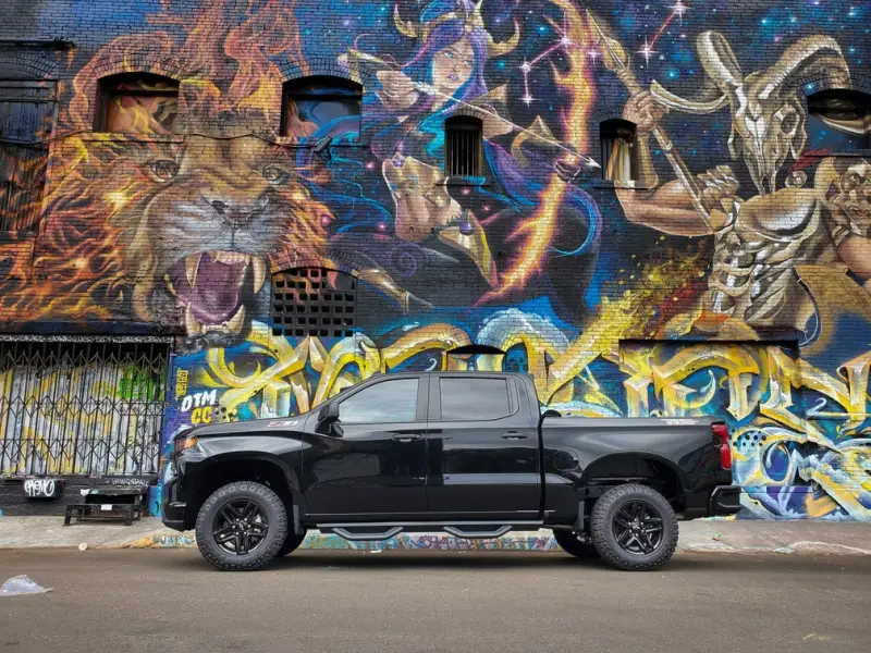Body Armor 4x4 BOD Rockstep Side Steps