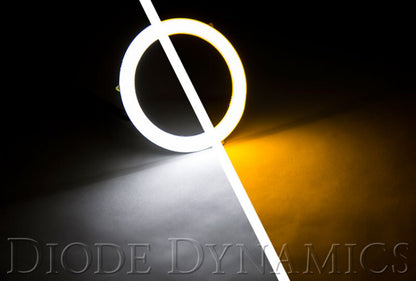 Diode Dynamics DIO Halo Ring Bulb