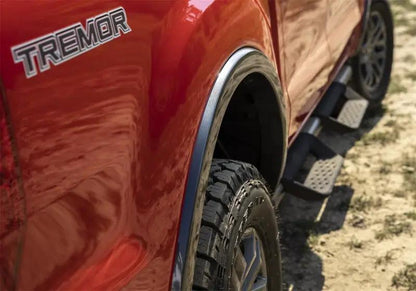 Ford Racing FR Side Steps