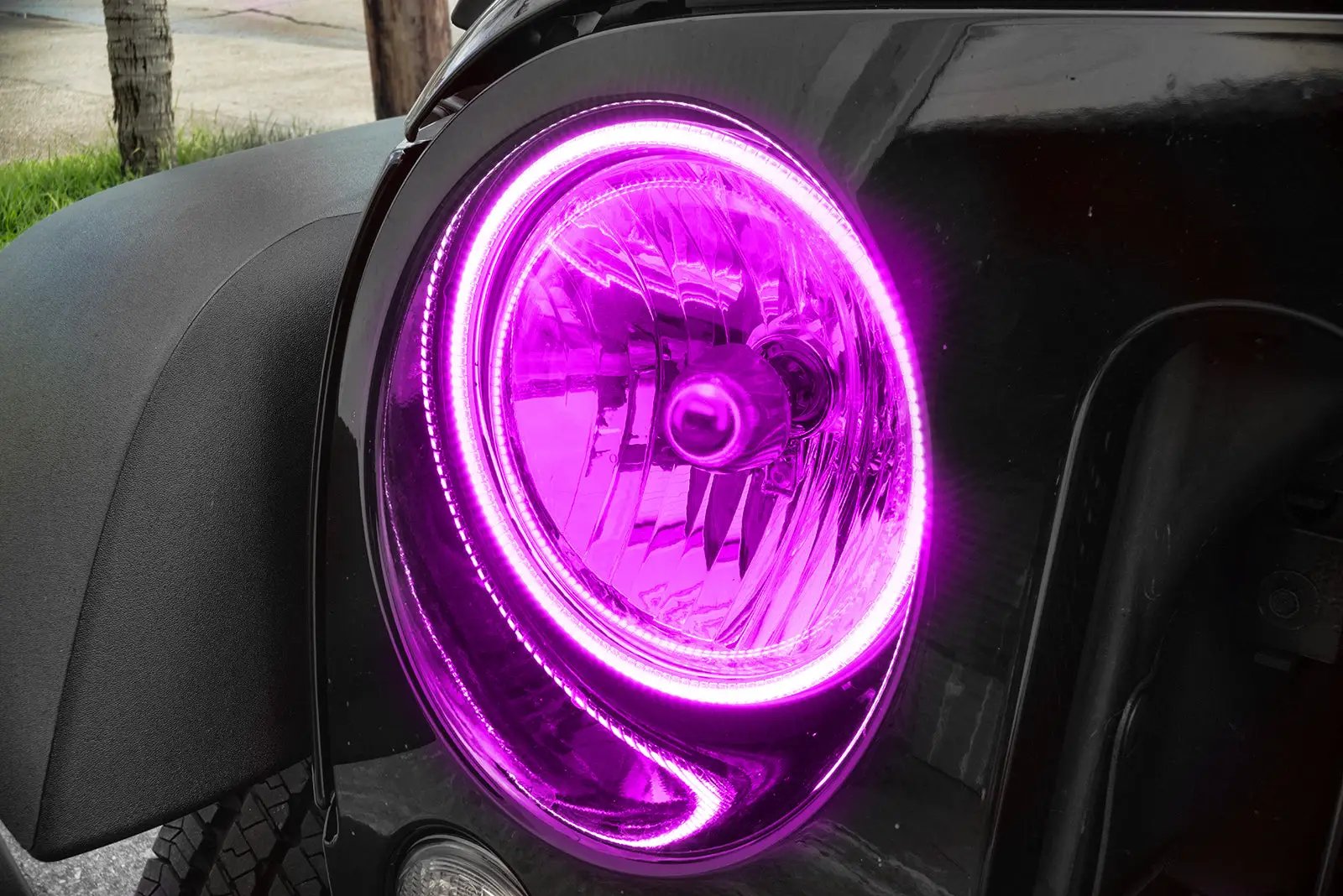 Oracle Lighting The halos are encased in a special polymer resin, making them completely waterproof and install by attaching around the headlight lens. The kit is 12V powered thus can be wired to a switch, controller, or parking lights. by Oracle Lighting