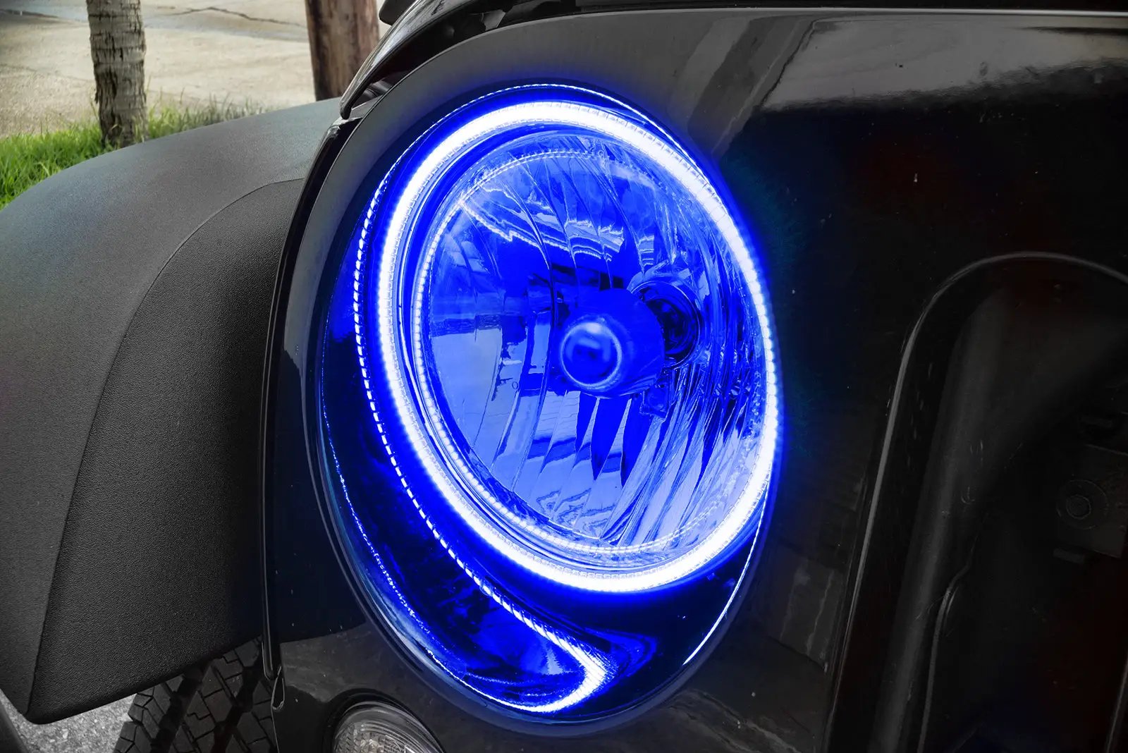 Oracle Lighting The halos are encased in a special polymer resin, making them completely waterproof and install by attaching around the headlight lens. The kit is 12V powered thus can be wired to a switch, controller, or parking lights. by Oracle Lighting