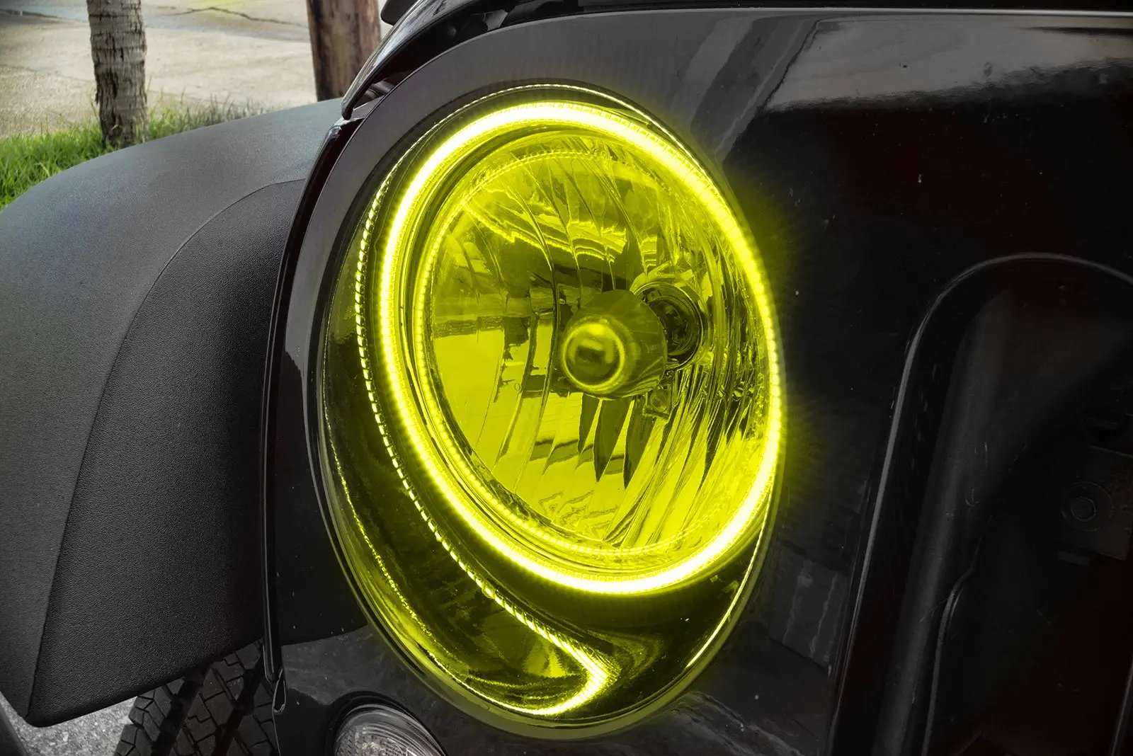 Oracle Lighting The halos are encased in a special polymer resin, making them completely waterproof and install by attaching around the headlight lens. The kit is 12V powered thus can be wired to a switch, controller, or parking lights. by Oracle Lighting