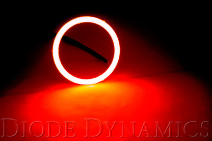 Diode Dynamics DIO Halo Ring Bulb