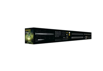 HELLA Black Magic Lamp by Hella