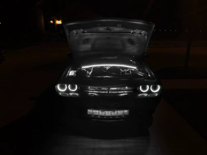 Oracle Lighting Flex strip features high quality Bridgelux SMD Chips for maximum brightness. The LED strips are sealed with a high grade silicone which are heat resistant. Package comes with strips for the front, rear, and side of the engine bay. by Oracle Lighting