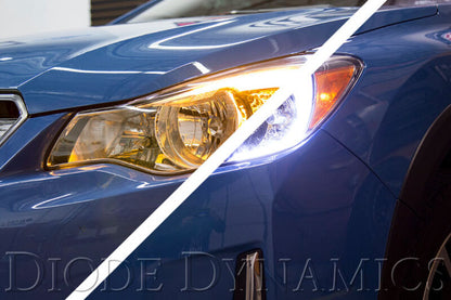 Diode Dynamics DIO Halo Ring Bulb