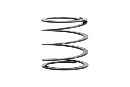 Eibach EIB ERS Springs by Eibach