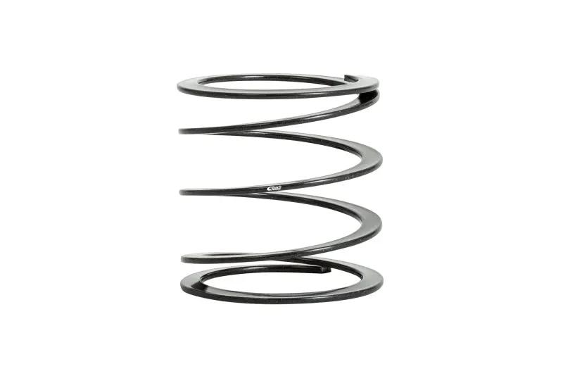 Eibach EIB ERS Springs by Eibach