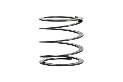Eibach EIB ERS Springs