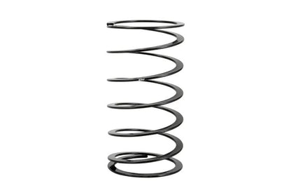 Eibach EIB ERS Springs by Eibach