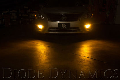 Diode Dynamics DIO Replacement Bulbs