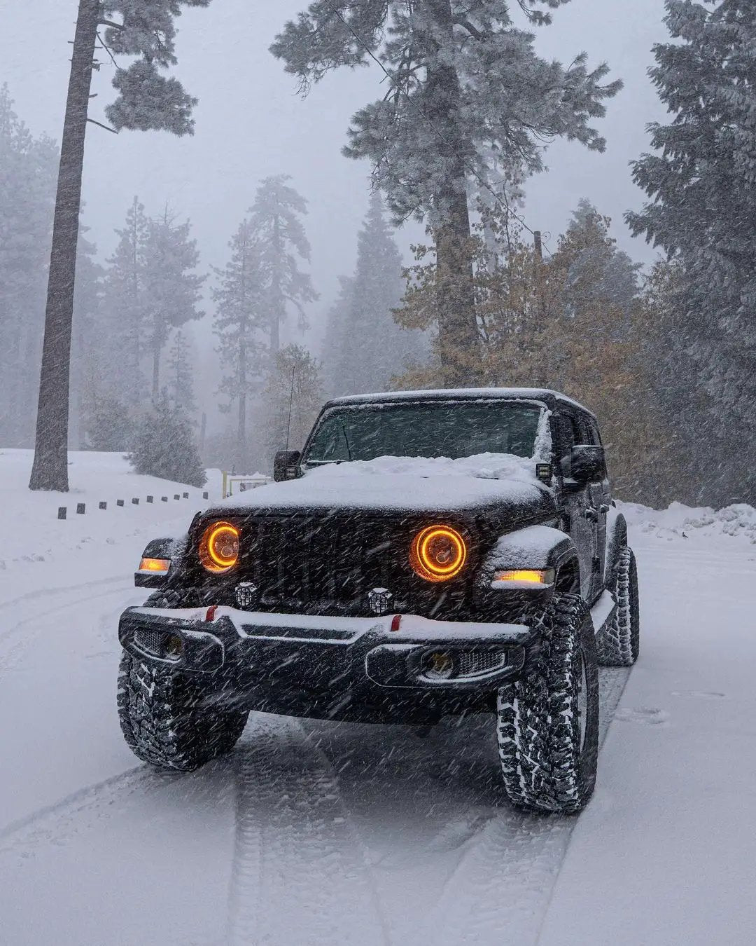 ORACLE Lighting Jeep Wrangler JL/Gladiator JT 7in. High Powered LED Headlights (Pair) Dynamci ColorSHIFT by Oracle Lighting