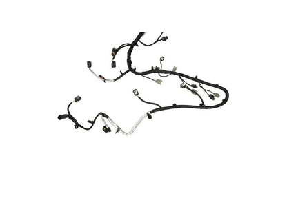 Ford Racing FR Harnesses by Ford Racing