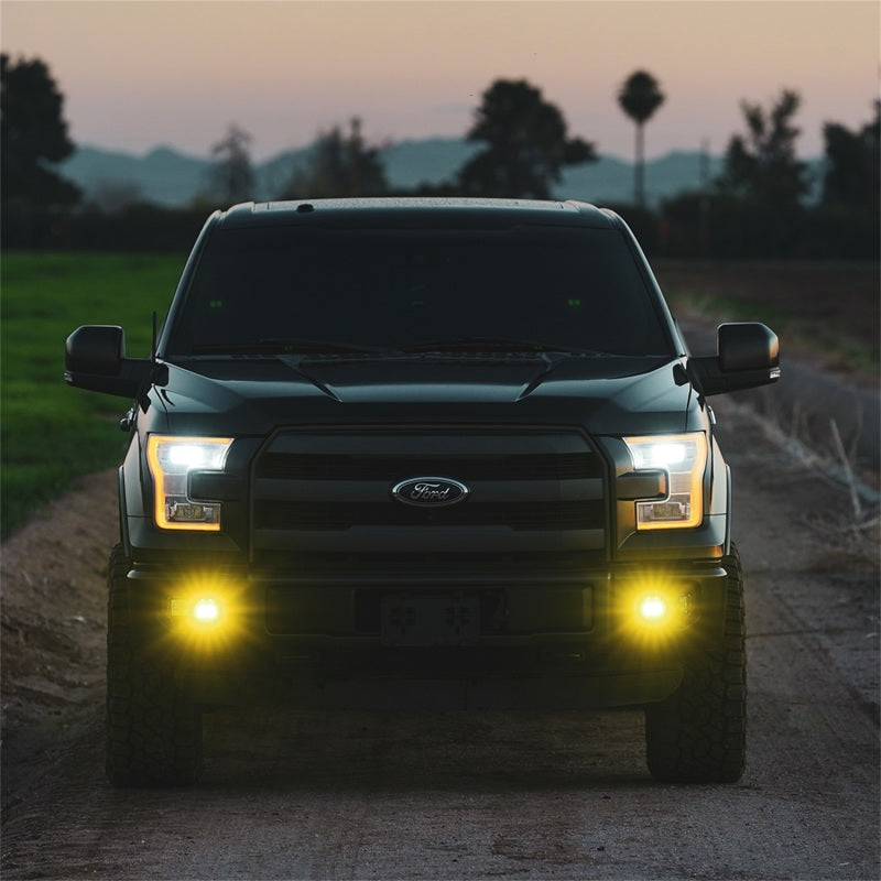 Rigid Industries RIG D2