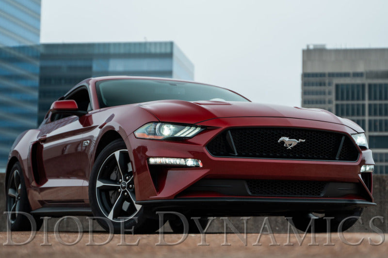 Diode Dynamics DIO Fog Lights