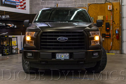 Diode Dynamics DIO Replacement Bulbs