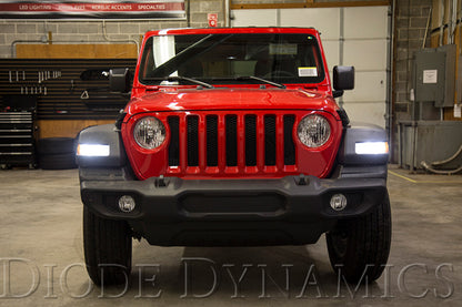 Diode Dynamics DIO Replacement Bulbs