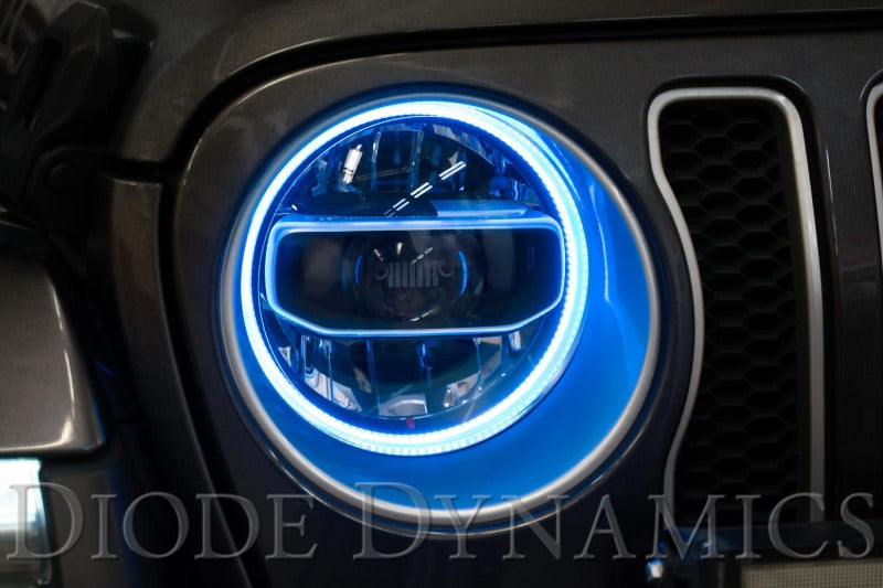 Diode Dynamics DIO Halo Ring Bulb