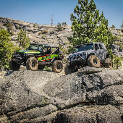 Westin WES Snyper Tube Fenders