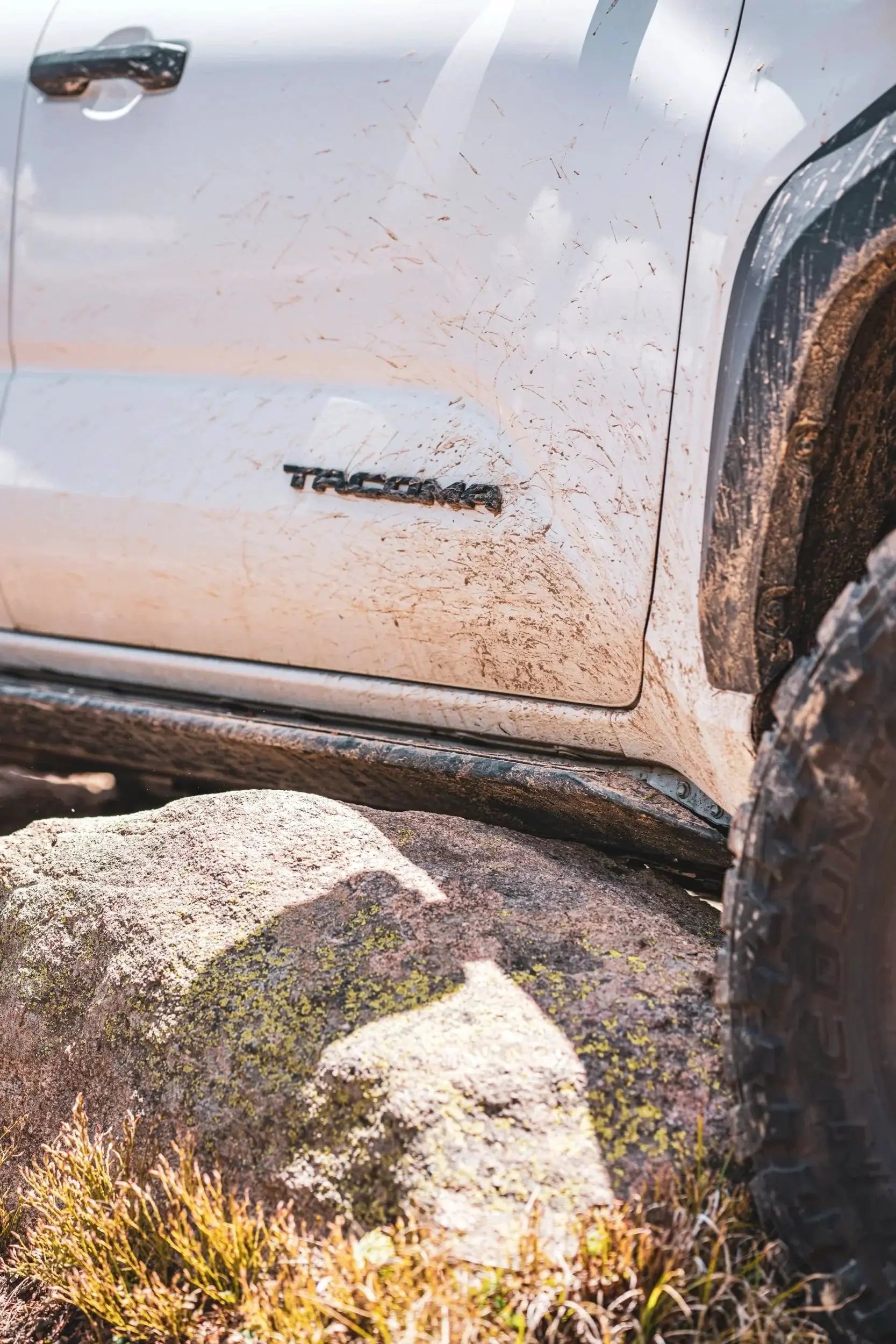 NYTOP 2024-Current Toyota Tacoma Rock Sliders by NYTOP
